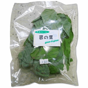 �O�g�t�@�[���@���̗t�i���s�Y�j�@�l�ߑւ��p�@grass&glass�V���[�Y