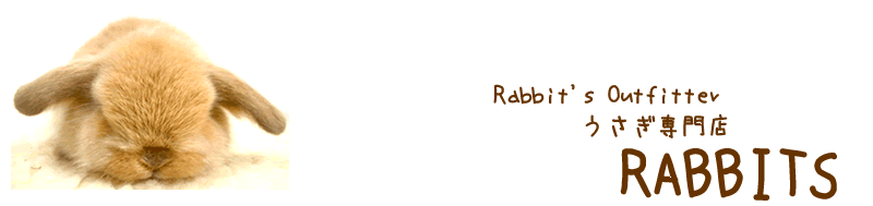 �q�`�a�a�h�s�r�̃g�b�v�y�[�W�ɖ߂�